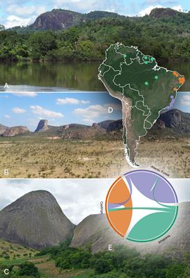 A wide range of South American inselberg floras reveal cohesive biome patterns